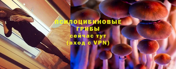 мдма Богородск