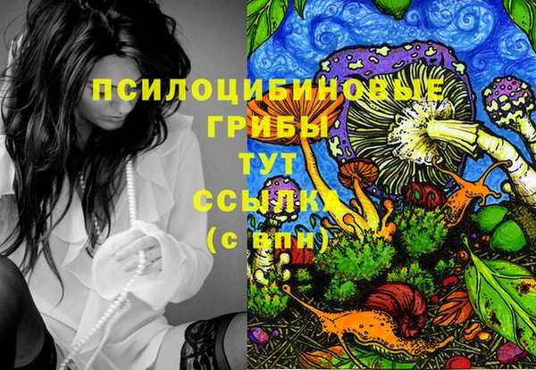 mix Богородицк