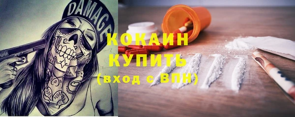 mix Богородицк